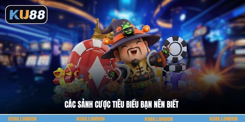 Các sảnh cược tiêu biểu bạn nên biết